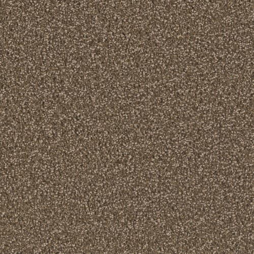 Opulent II in Black Walnut Carpet