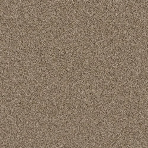 METROPOLITAN II in Straw Carpet