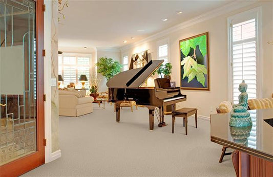 Waimea in Spangle Carpet