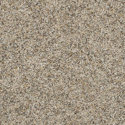 Classio I in Harmony Carpet