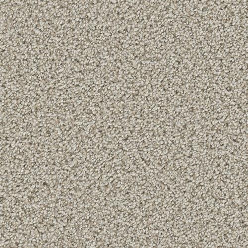 COSMOPOLITAN II in Stucco Carpet