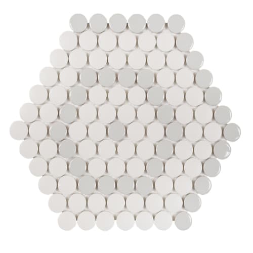 Designer Hexagon - Porcelain in Darwin Glass Tile