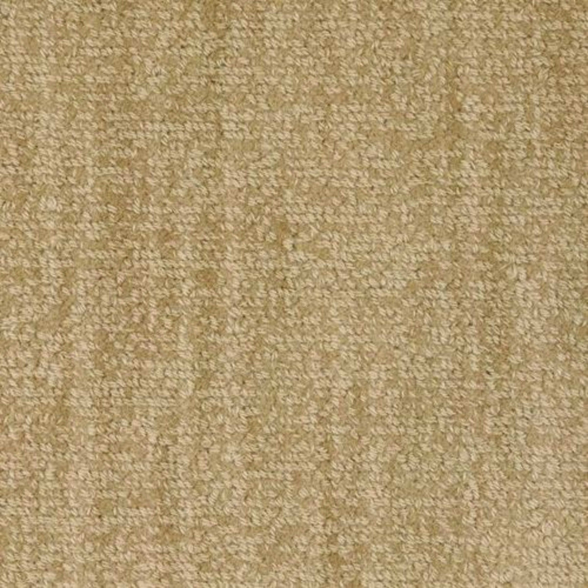 Revival in Harmony Carpet