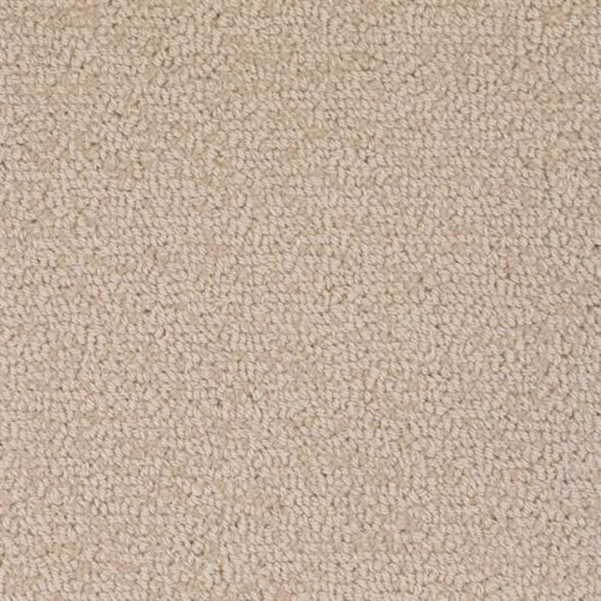 Revival in Noble Carpet