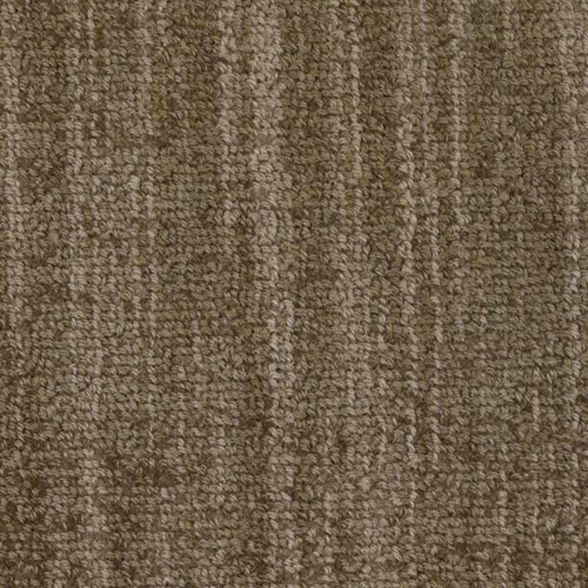 Revival in Allude Carpet