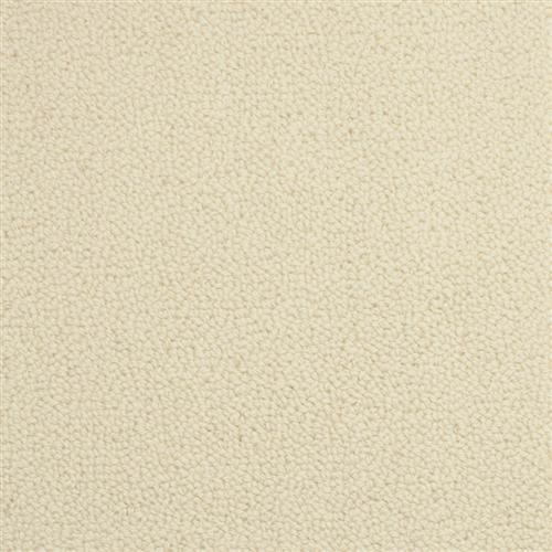Wexford in Callahan Carpet