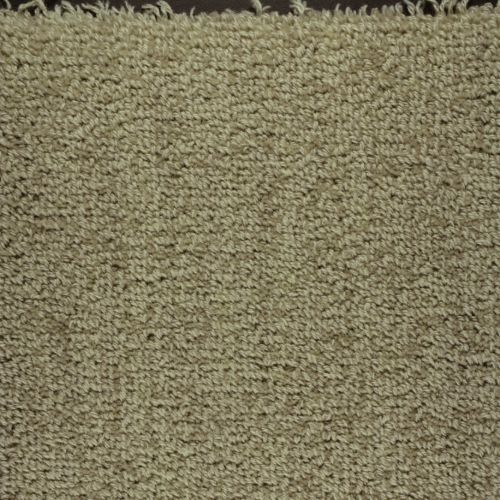 Bellini in Mastice Carpet