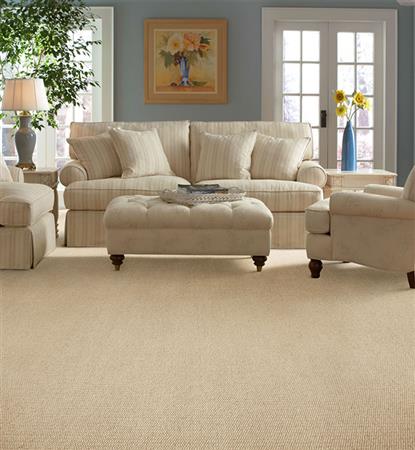 Bedford Tweed in Manchester Carpet