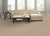 Gallantry Too in Dew Drop Carpet