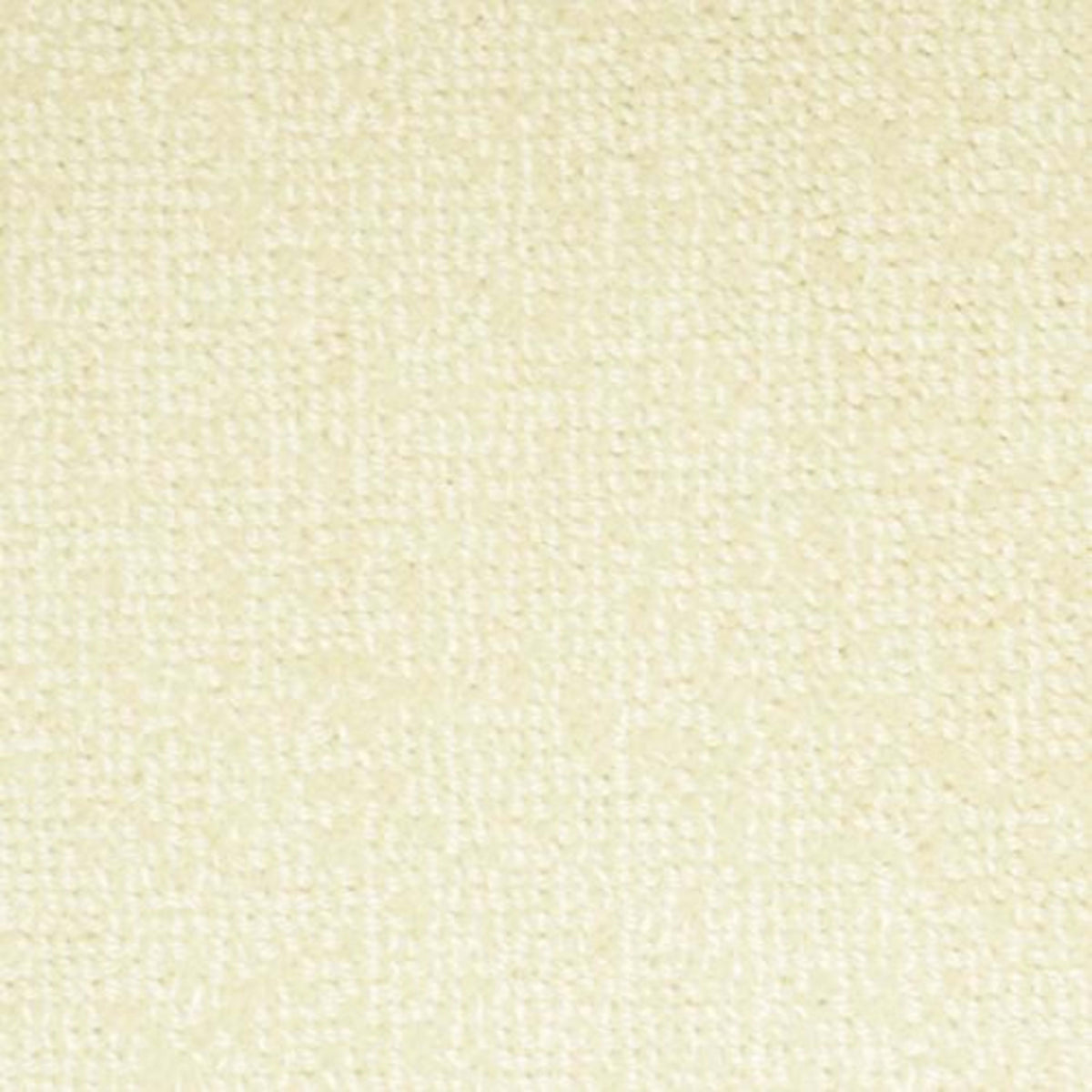 Batavia in Cream Carpet