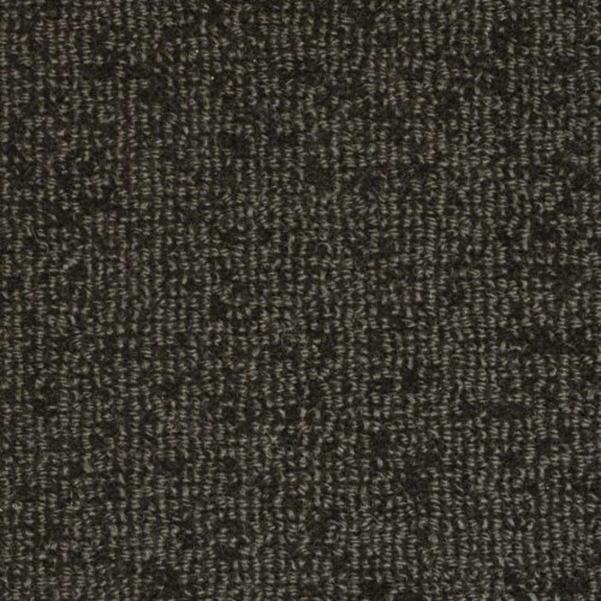 Batavia in Midnight Carpet