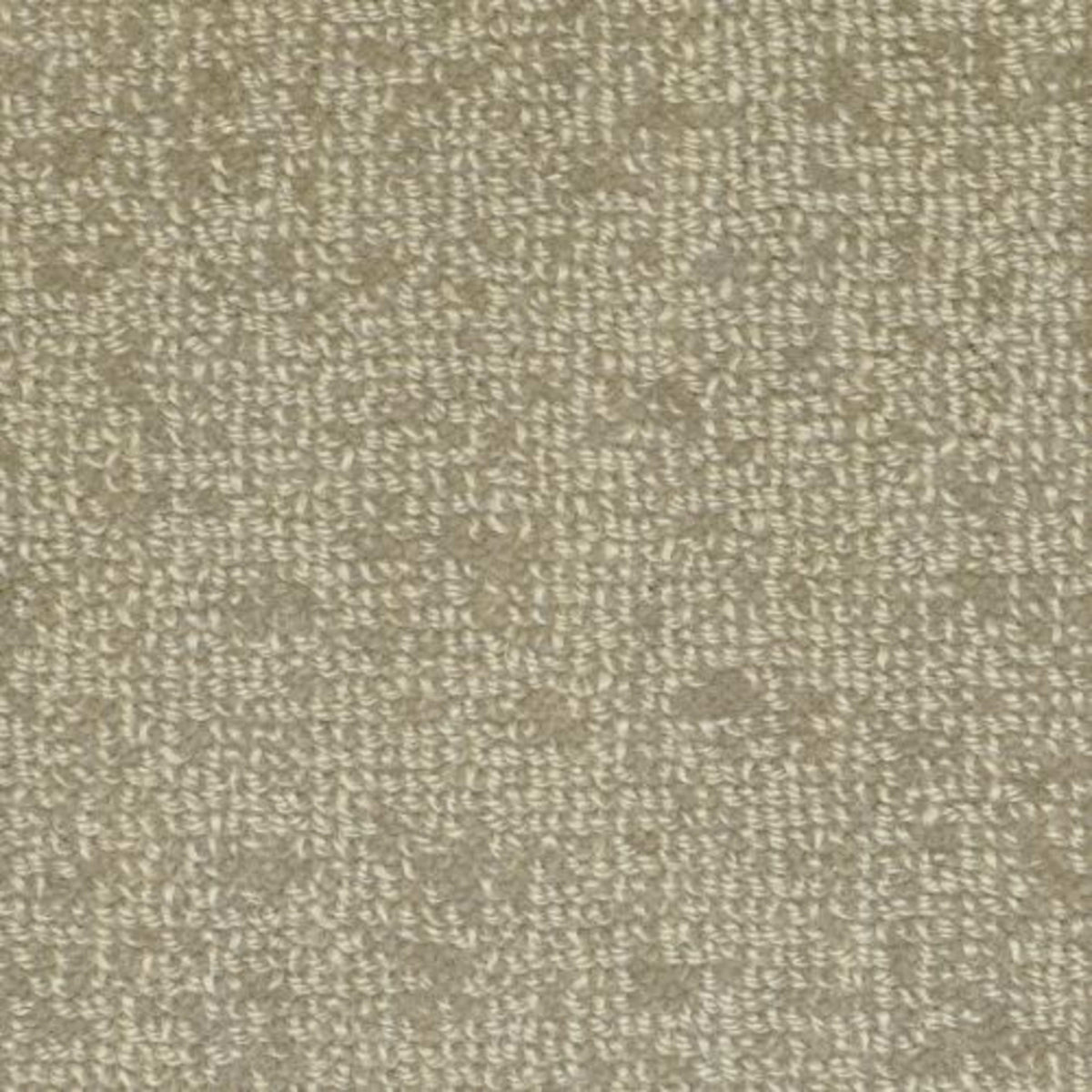 Batavia in Charcoal Carpet