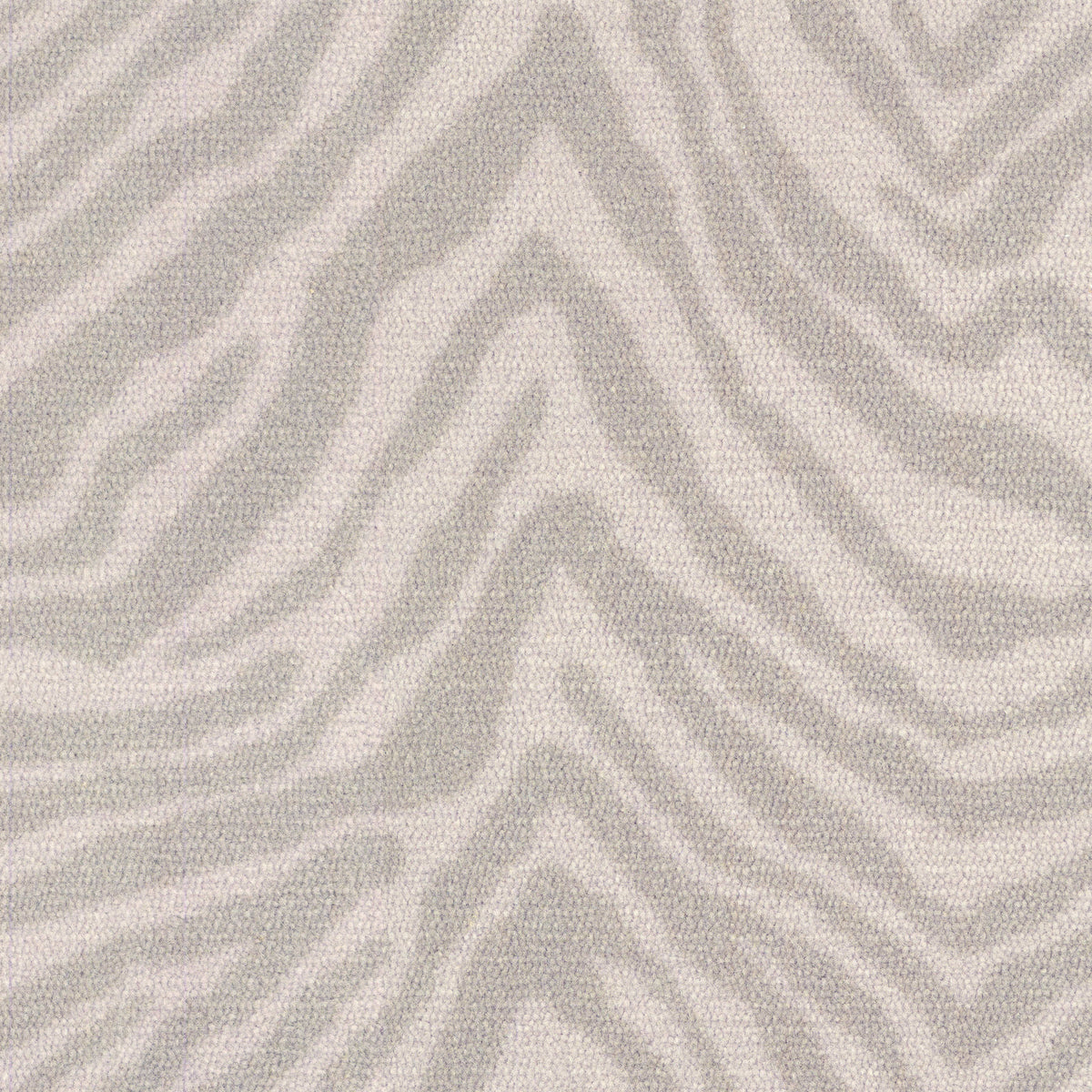 Zebra in Grevy's Zebra Carpet