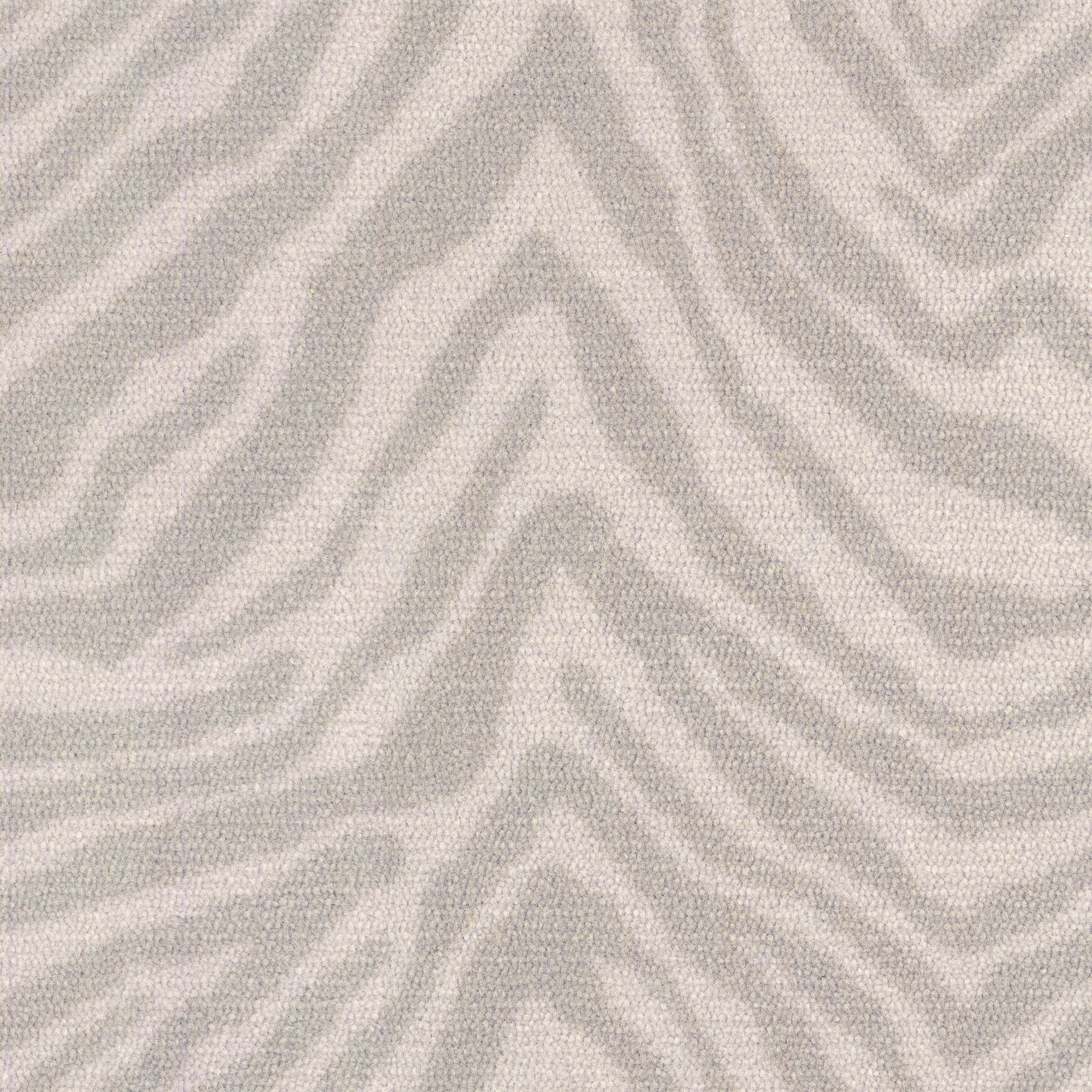 Zebra in Grevy's Zebra Carpet