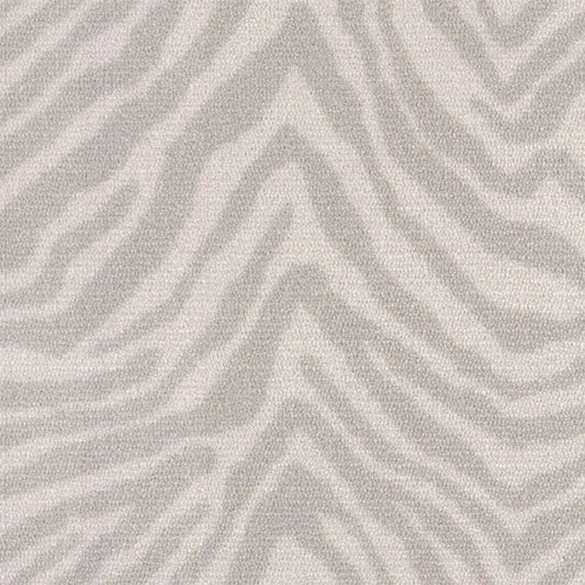 Zebra in Grevy's Zebra Carpet