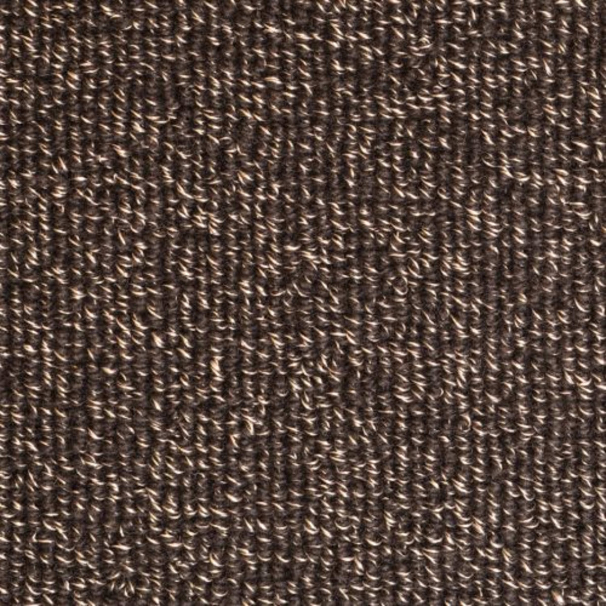 Capri in Sea Cave Carpet
