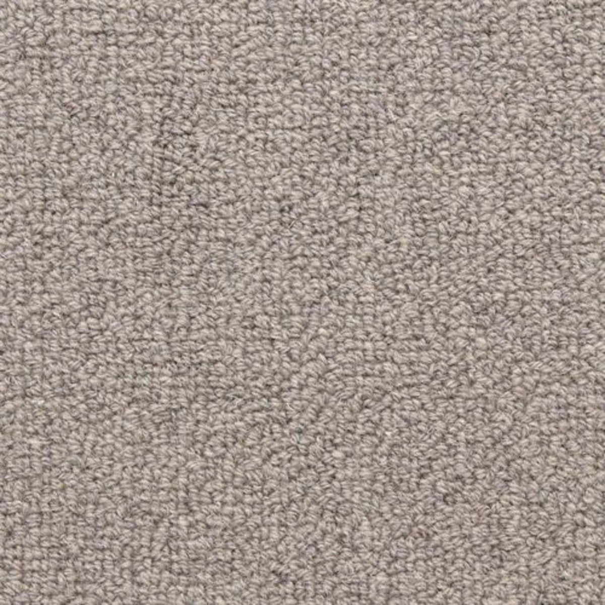 Grantham in Downing Carpet