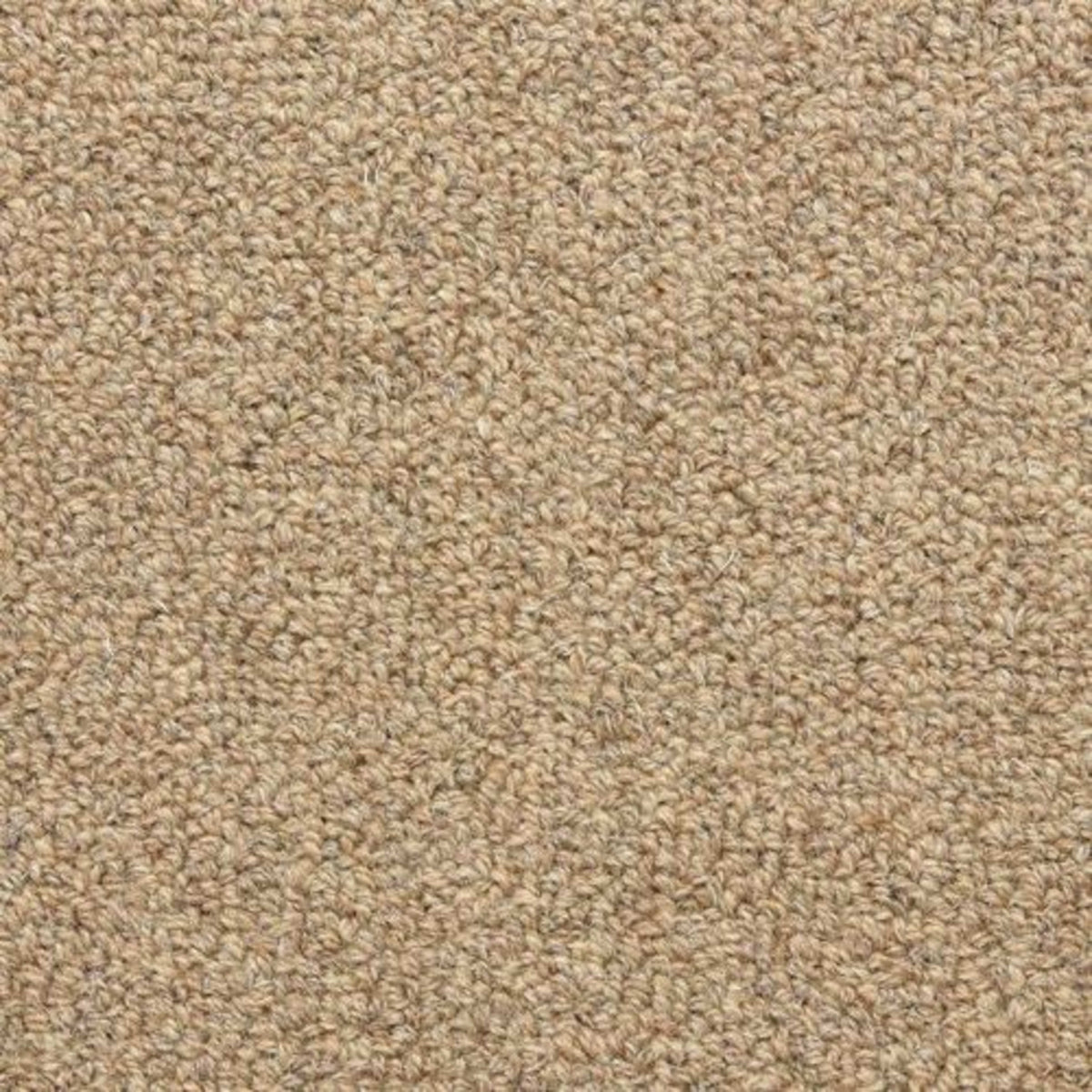Grantham in Oswald Carpet