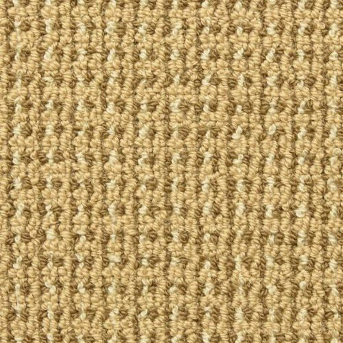 Tresor II in Caramel Carpet