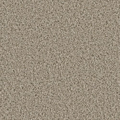Runway II in Mocha Carpet