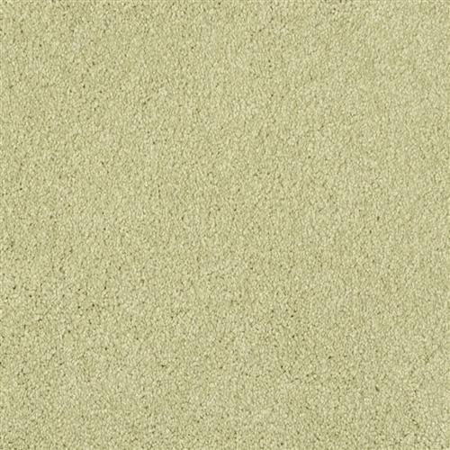 Miami in Springhill Carpet