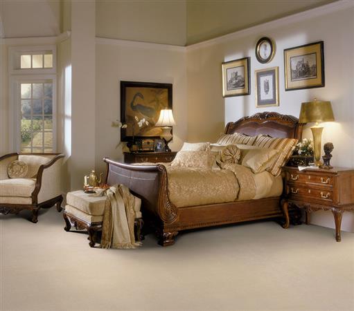 Silk Touch in Hazy Carpet