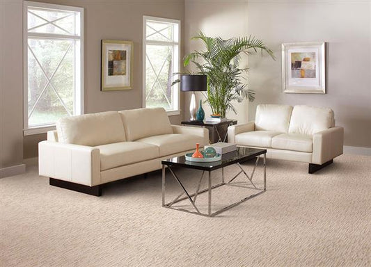 Artistic Vision in Neutrino Carpet