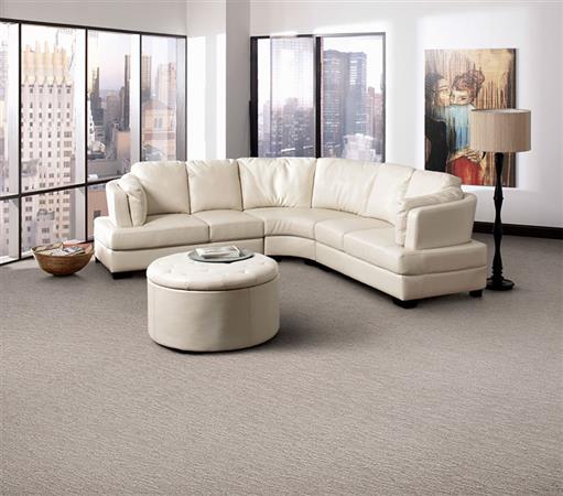 Mesa Verde in Sereno Carpet