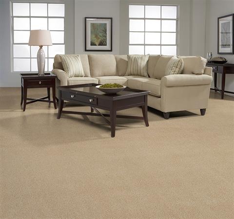 Beacon Hill in Camellia Carpet
