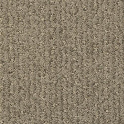Pinehurst in Graphite Carpet
