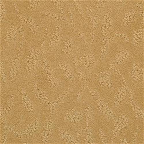 True Luxury in Terra Cotta Carpet
