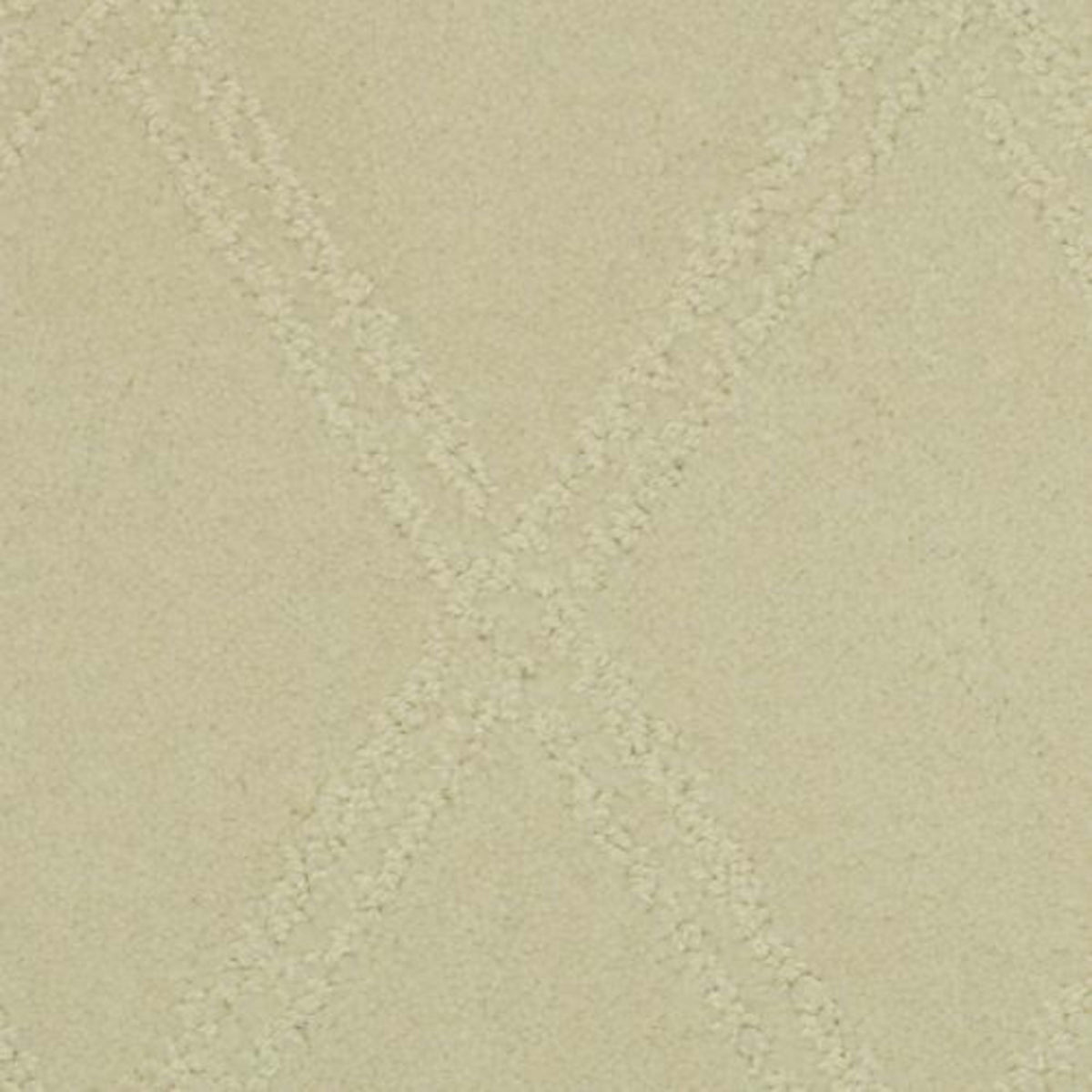 Braided Opulence in Shifting Sand Carpet