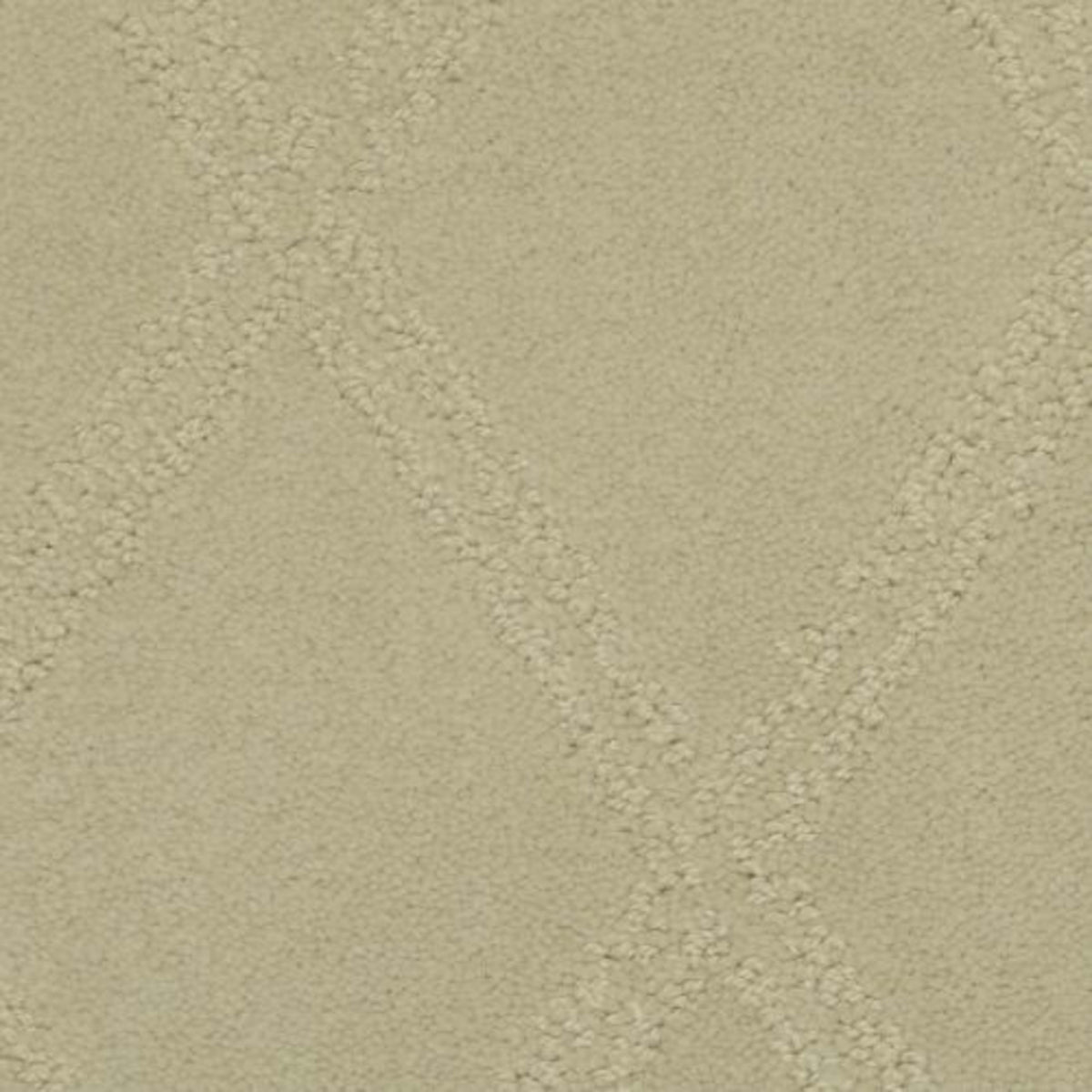 Braided Opulence in Simply Taupe Carpet