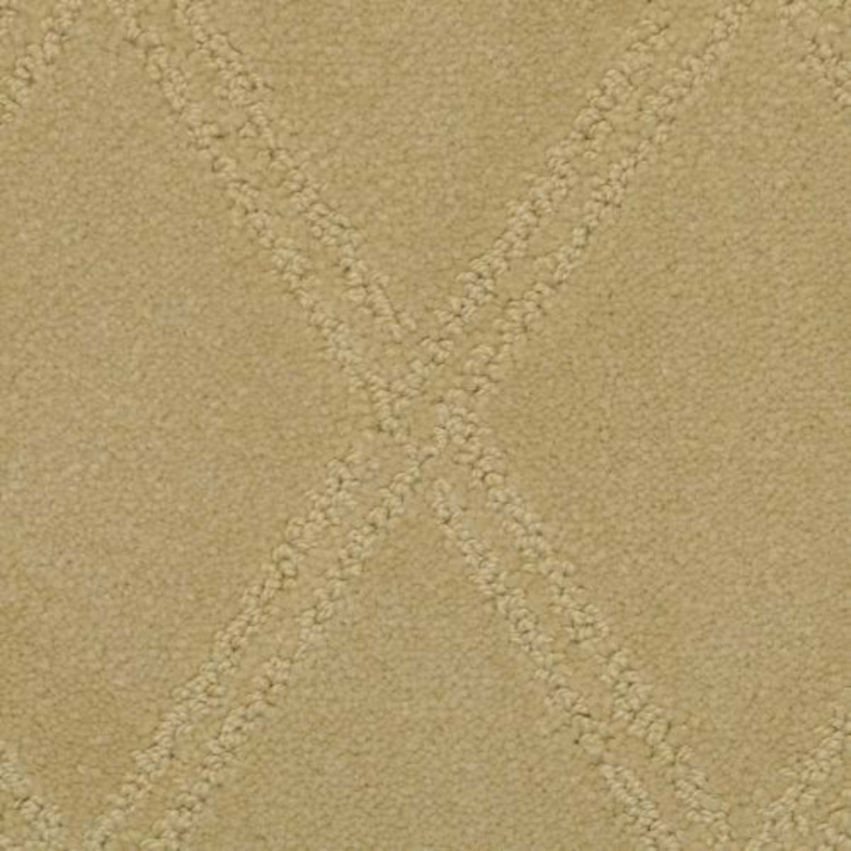 Braided Opulence in Rich Tan Carpet