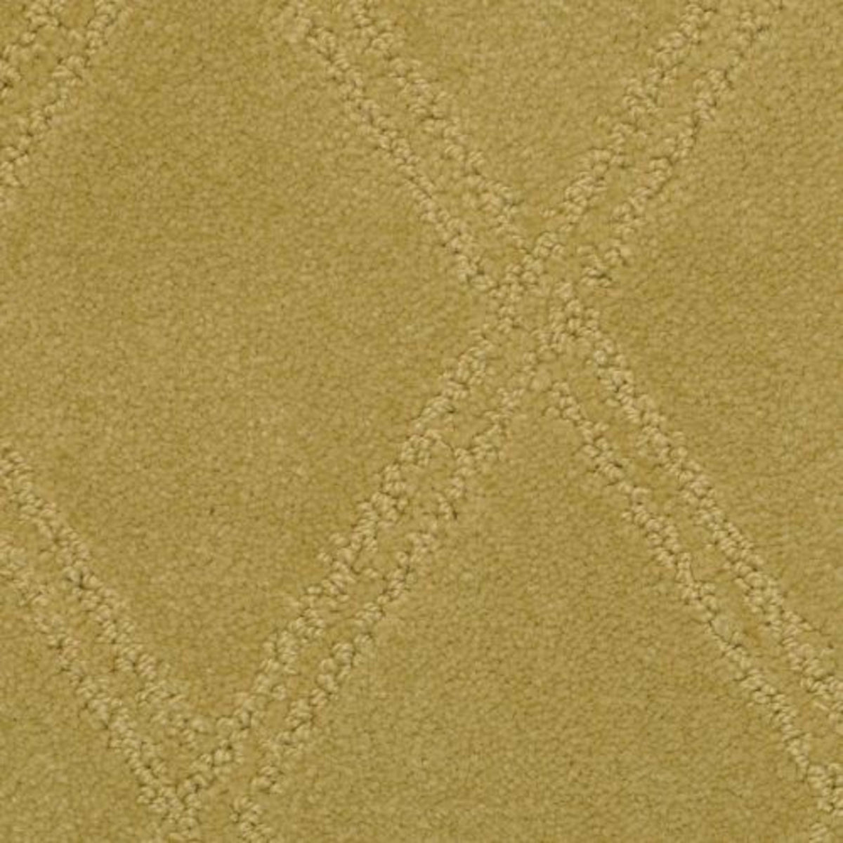Braided Opulence in Tannery Carpet