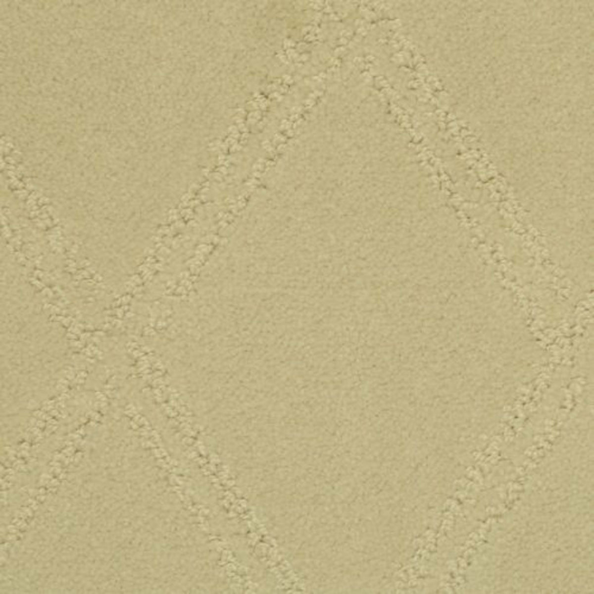Braided Opulence in Sesame Carpet
