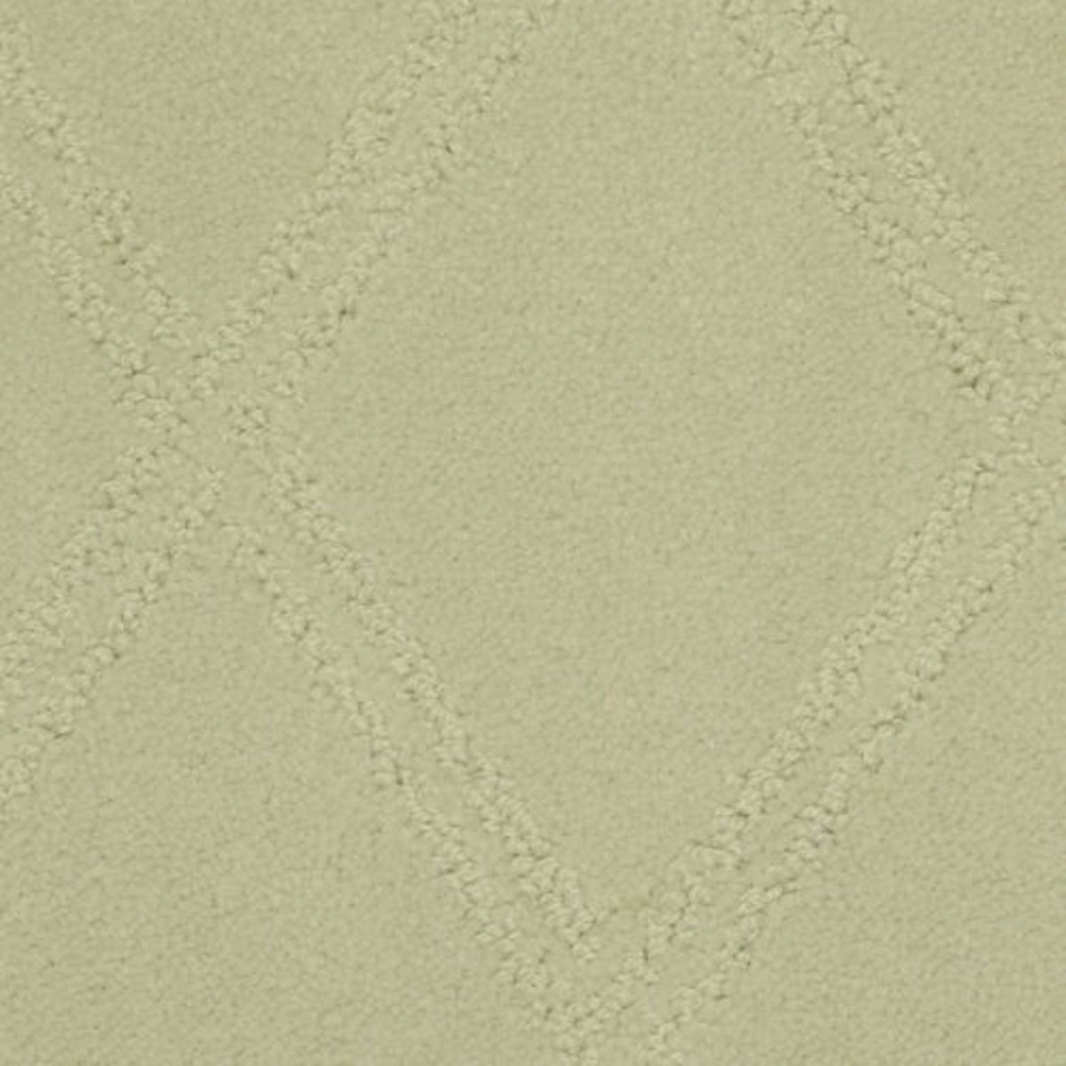 Braided Opulence in Mineral Carpet