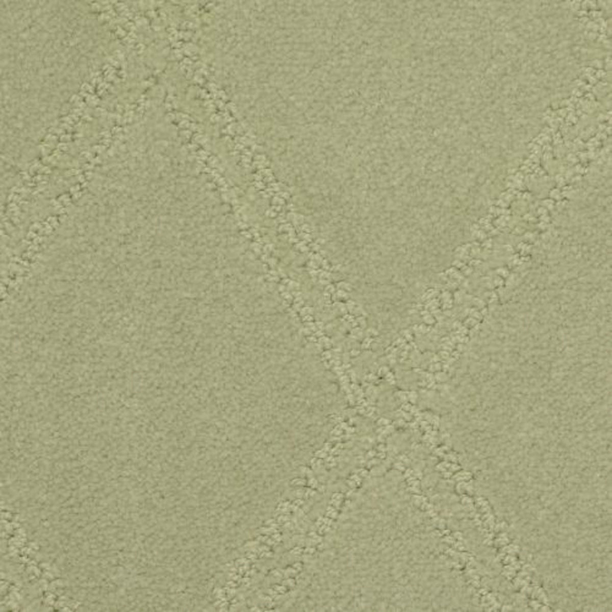 Braided Opulence in Balsam Carpet