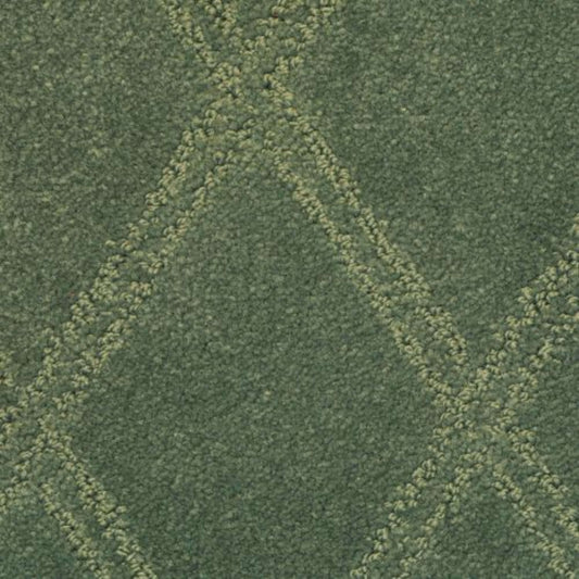 Braided Opulence in Mediterranean Carpet