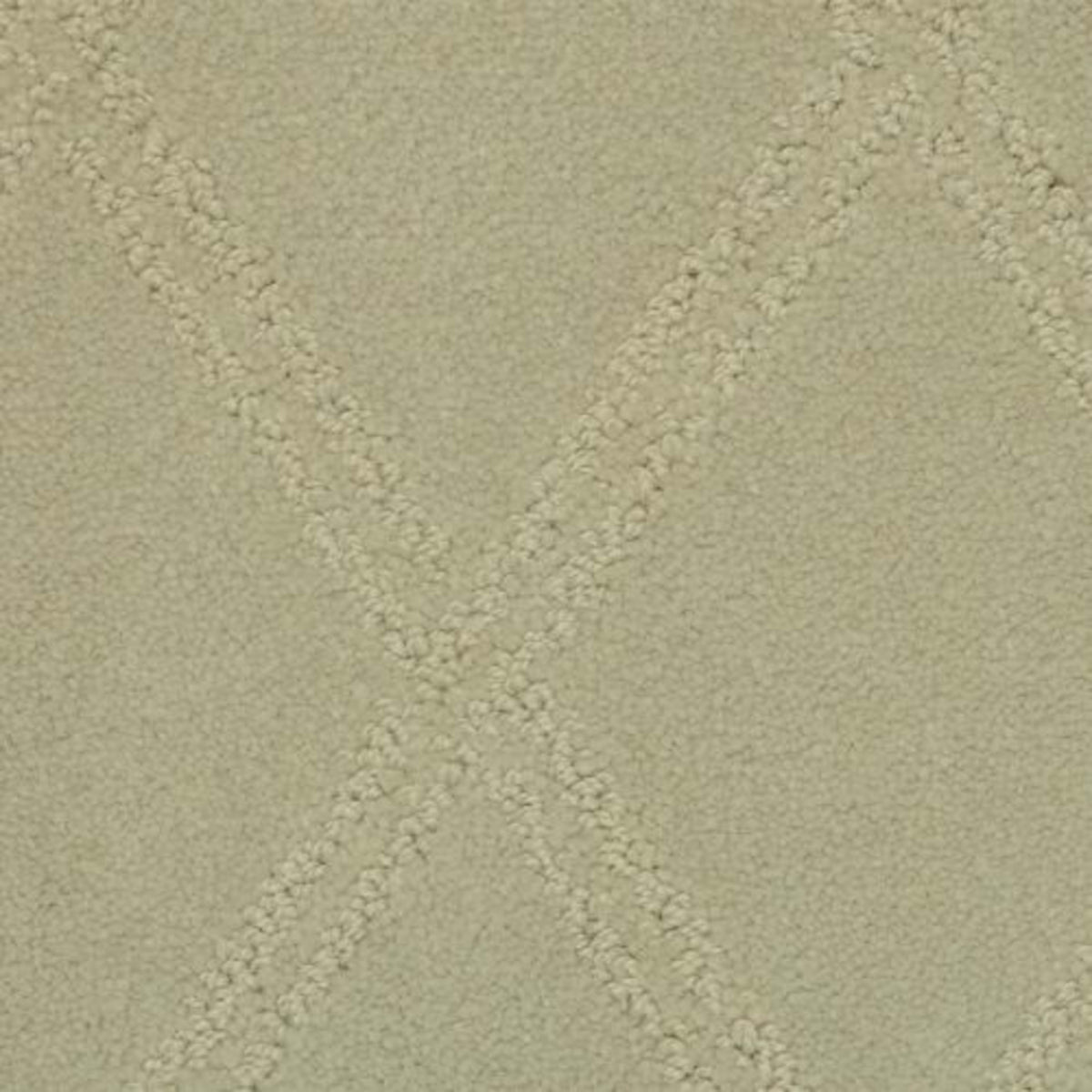 Braided Opulence in Fossil Carpet