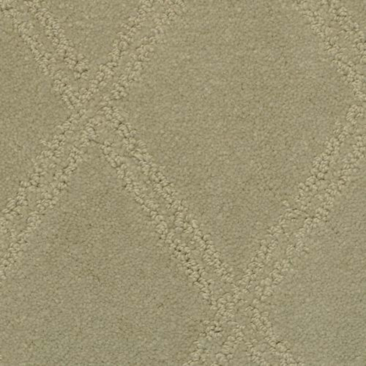 Braided Opulence in Driftwood Carpet
