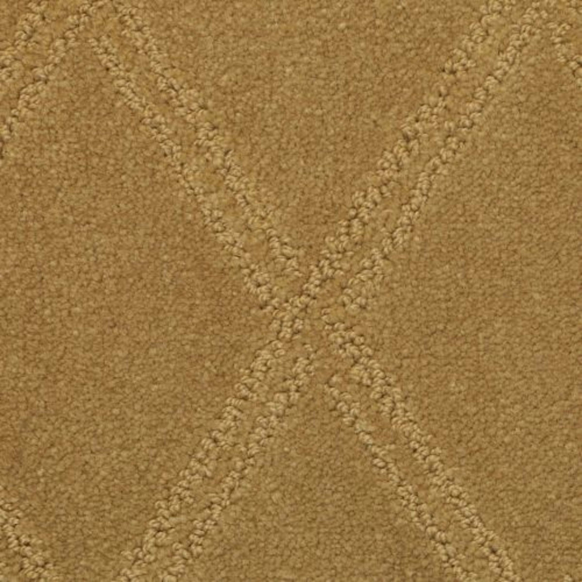 Braided Opulence in Sierra Carpet