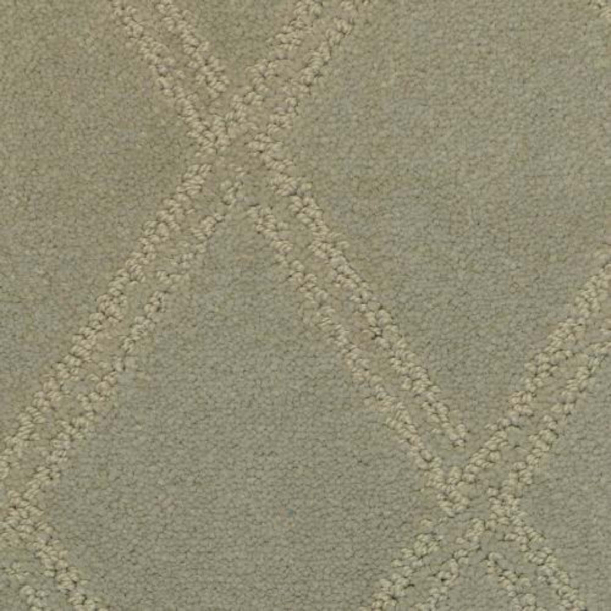 Braided Opulence in Flint Carpet