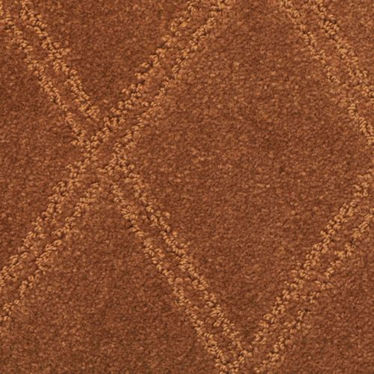 Braided Opulence in Black Raspberry Carpet