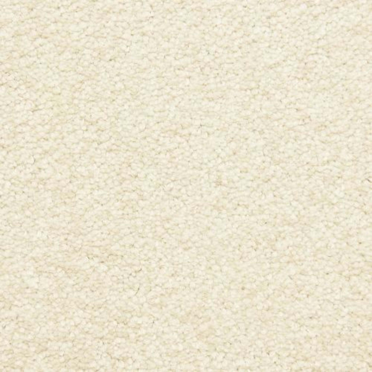 Morgan Bay in Shell Carpet