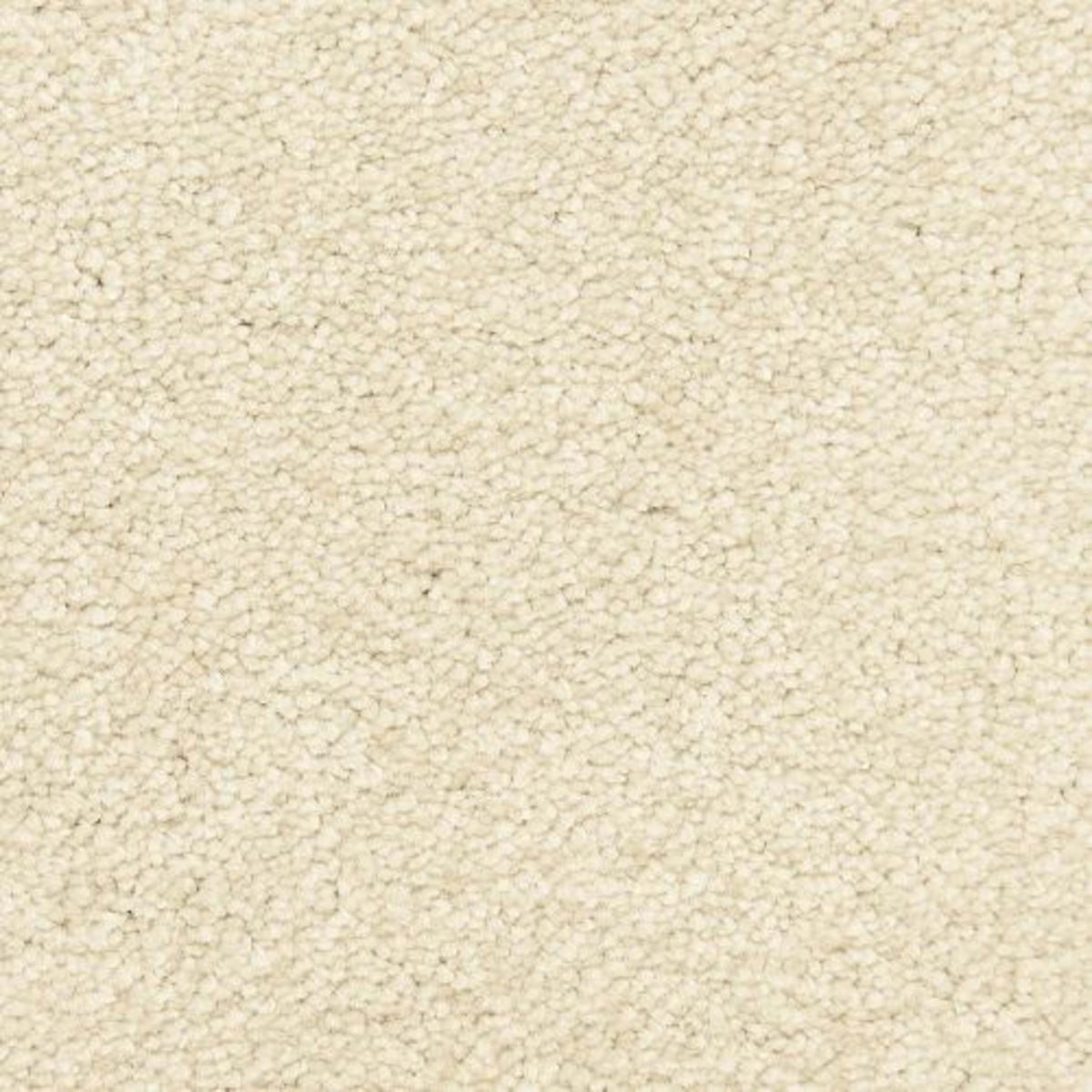 Morgan Bay in Sandstone Carpet