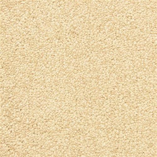 Morgan Bay in Autumn Blush Carpet
