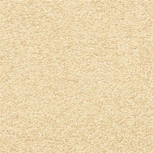 Morgan Bay in Brazil Nut Carpet
