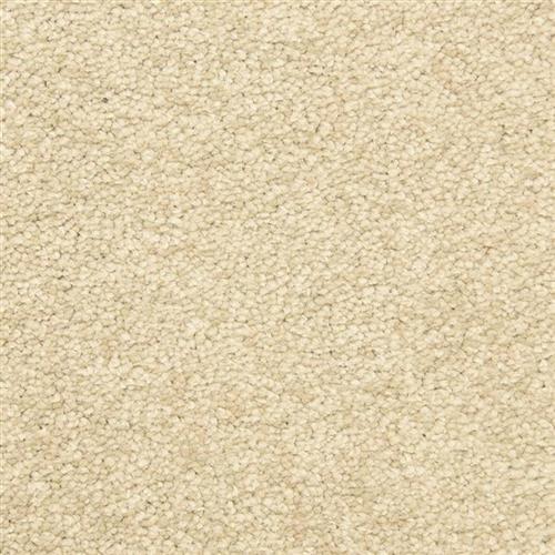 Morgan Bay in Scroll Carpet