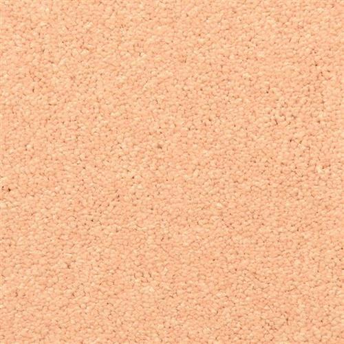 Morgan Bay in Clay Pot Carpet